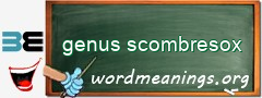 WordMeaning blackboard for genus scombresox